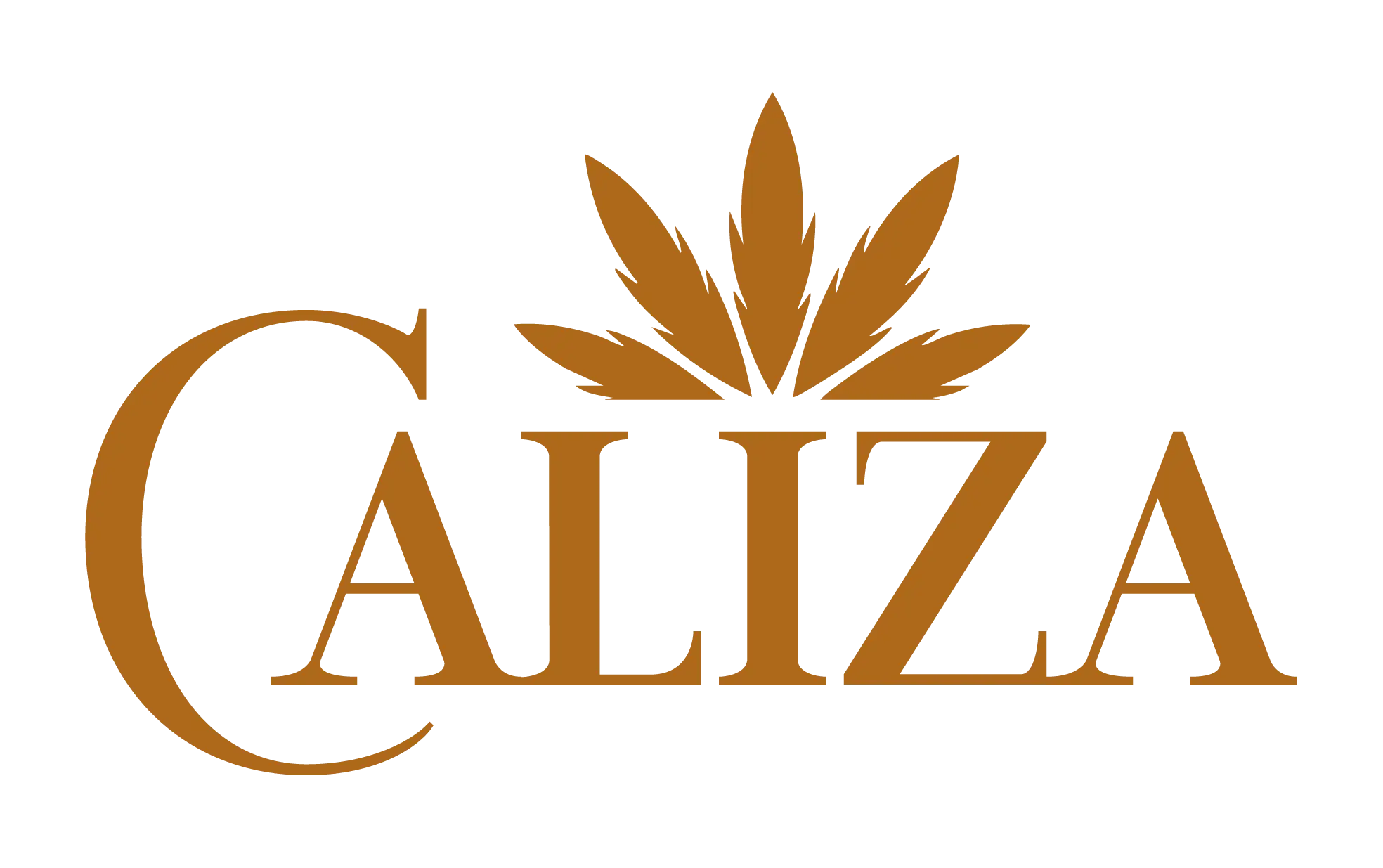 Caliza Shop