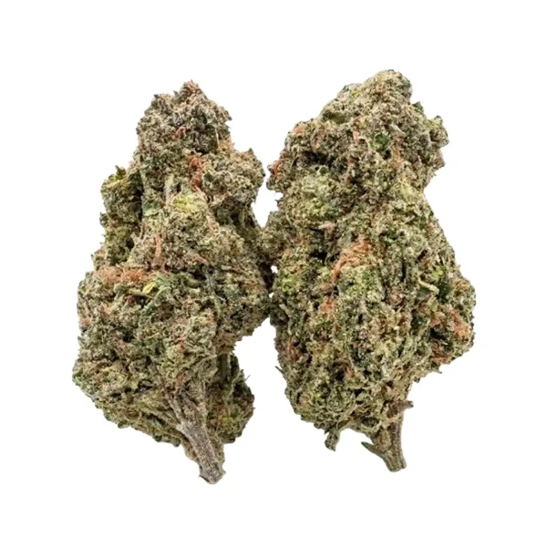 Blue-Dream-Flower (1)