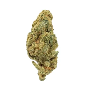 Glitter-Bomb (1) (1)