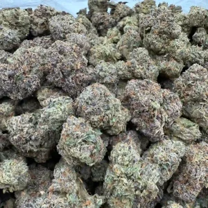 Juicy-Gelato (1) (1)